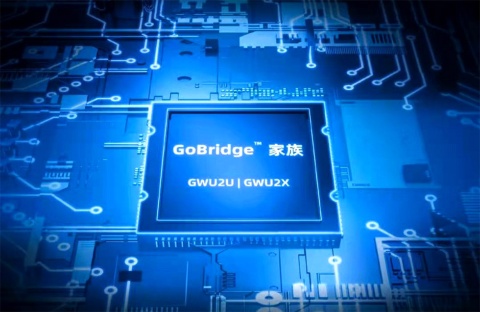 「高雲半導体（GOWIN）」の主要製品の1つである回路を自由に書き換えられる集積回路「GoBridge」シリーズのイメージ（画像は高雲半導体のニュースリリースより）