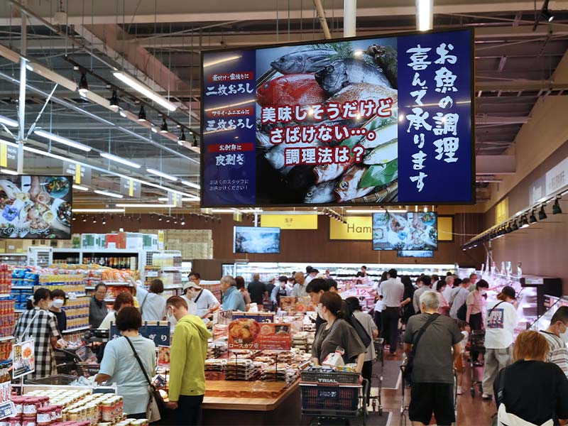 九州発トライアル、強さの背景　3つの「あえて」の逆張り戦略