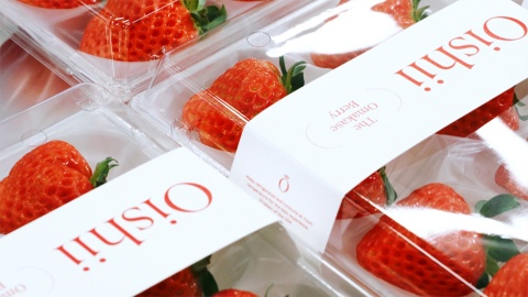 米オイシイファームは日本の植物工場技術を用いて、米国で起業し、高級いちごブランド「Oishii Berry」の販売をはじめた