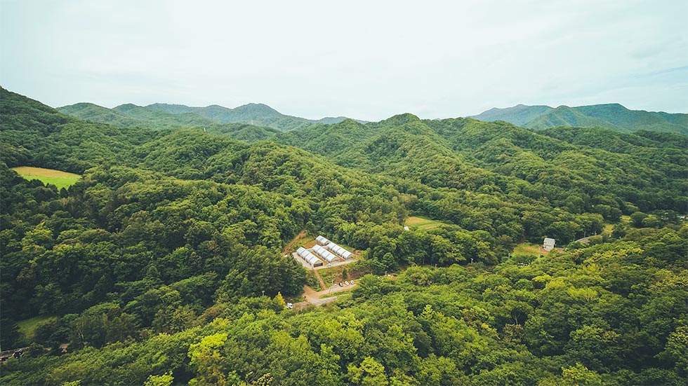 盤渓（ばんけい）農場。設計を担当したDOMINO ARCHITECTS（東京・目黒）代表の大野友資氏は、「農作業小屋は、上から見たときに三角形のケーキが並んでいるように」をモチーフにしたと話す（写真提供／ユートピアアグリカルチャー）