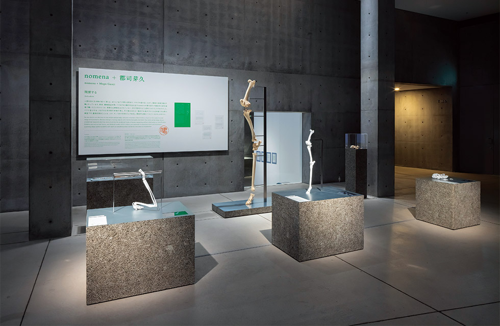 クリエイターと科学者の共創が見せる「未来のかけら」：日経クロストレンド