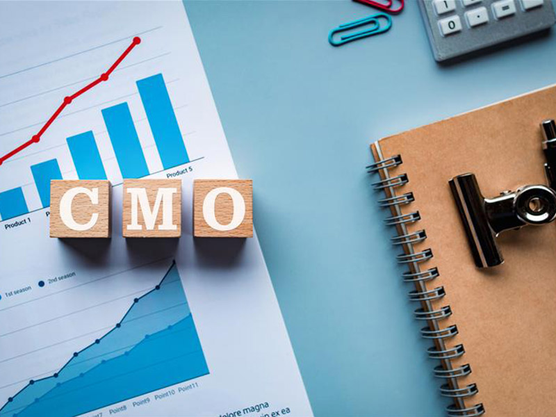 日本企業におけるCMOの実態　200社の現場から見えた組織の本音