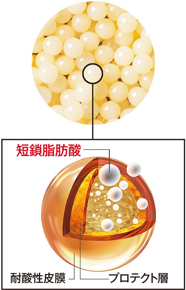 選ぶのに迷う「腸活食品」の“最終回答” 森下仁丹が仕掛ける一手