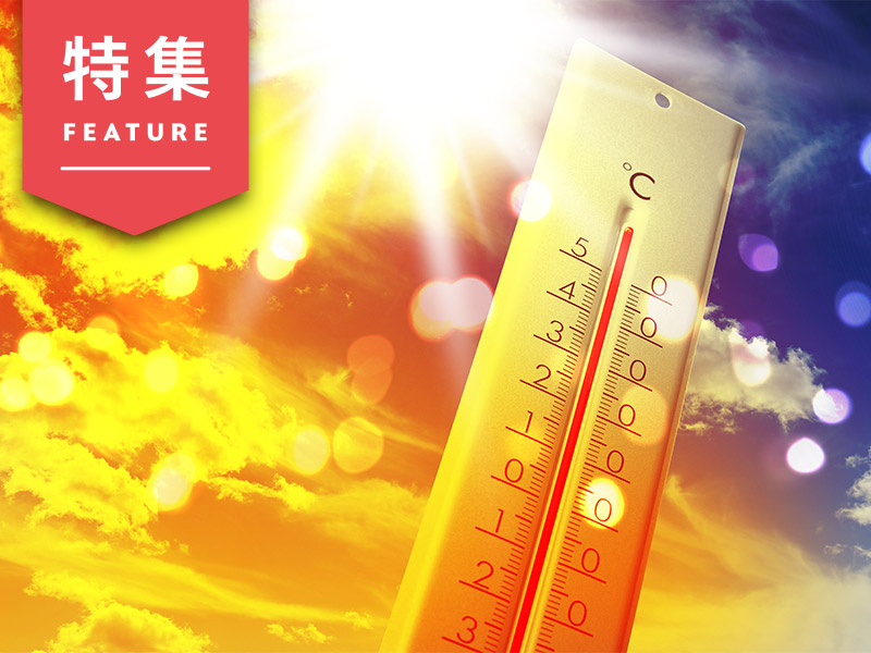 夏は猛暑、春秋は消失　花王、エバラ食品、UAの「異常気象マーケ」