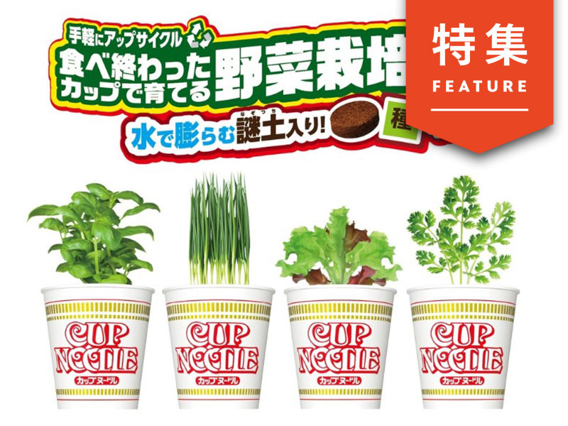 日清カップヌードルがなぜ野菜栽培キット発売？　ロングセラーの市場拡大法
