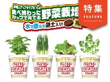 日清カップヌードルがなぜ野菜栽培キット発売? ロングセラーの市場拡大法