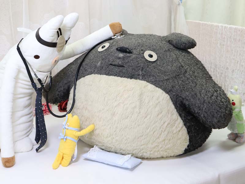 ぬい活ブームに修理サービス「ぬいぐるみ病院」その究極の“治療”とは