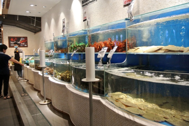 7FRESH内のいけす。手前のヒラメのような魚の個体すべてにQRコードが貼られていたのが分かった。ここで購入すると調理してもらって店内で食べられる
