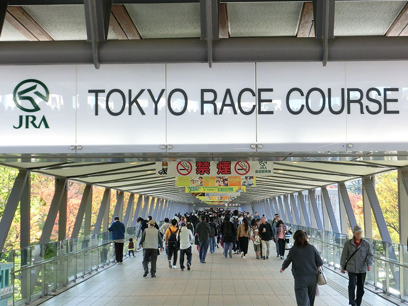 誰も知らないJRAの顔認証実験、利便とプライバシー両立するか