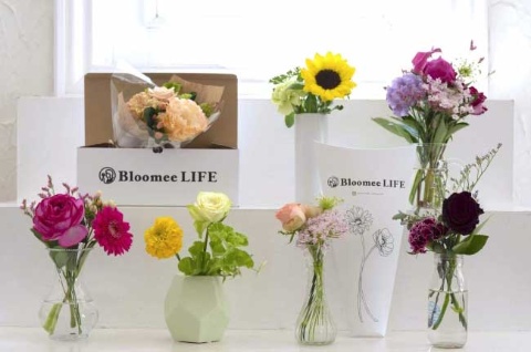 Bloomee LIFEは、500円（税別、別途送料が必要）からプランを用意。毎週か隔週のどちらかを選択できる