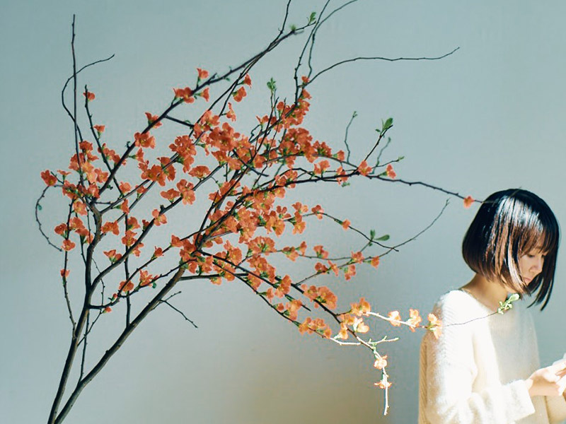 木の枝が届くサブスクが急拡大　コンサルティングから事業転換で成功