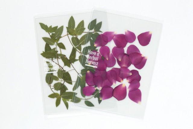 1位 「Have a Harbal Harvest」(右から、3240円と2700円、税込み、以下同)季節のハーブを使用した標本のようなハーブティー。インテリアにも人気