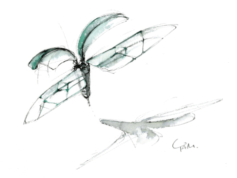 21_21 DESIGN SIGHTの「虫展 -デザインのお手本-」で展示された作品「Ready to Fly」の未来を描いたスケッチ。斉藤一哉先生による最新の科学成果と芸術のささやかな接点を目指す作品である