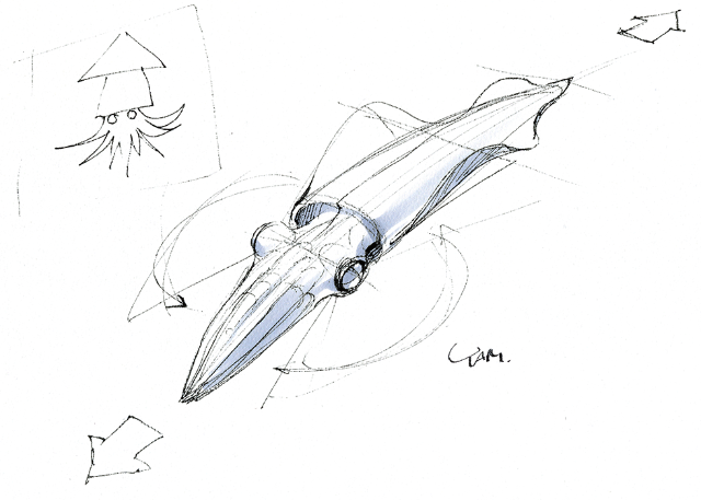 イカの骨格 日経クロストレンド イカの骨格 日経クロストレンド