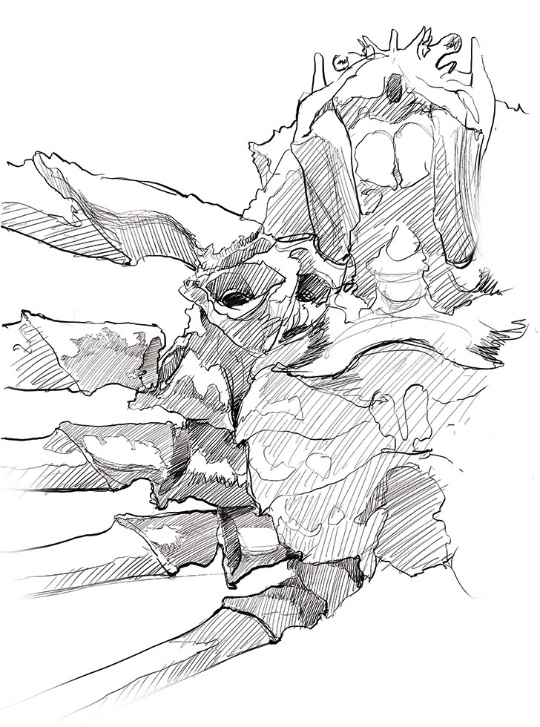 図鑑の絵 日経クロストレンド 図鑑の絵 日経クロストレンド