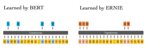 新たに発表したERINEモデル（右）と、オープンソースとして公開されているBERTモデルを比較した概念図