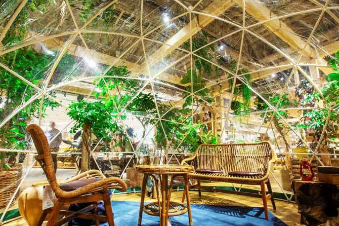 癒し の部屋は 緑あふれる空間に仕上げ 日経クロストレンド 癒し の部屋は 緑あふれる空間に仕上げ 日経クロストレンド