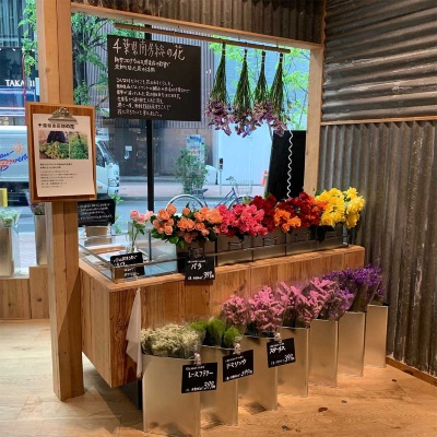 「千葉県南房総の花」は1束約3本で各399円(税込み)。入荷予定は週1回。売り切れ次第その週の販売は終了する。無印良品 銀座のほか、無印良品 新宿、MUJI 新宿、無印良品 リヴィン光が丘、無印良品 リヴィンオズ大泉、無印良品 セブンタウン小豆沢、無印良品 イオン板橋でも販売中(変更の可能性あり)