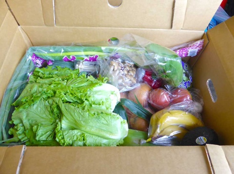 「ドライブスルー八百屋」で販売する野菜セット