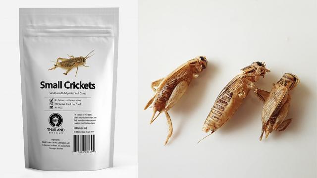 昆虫食自販機が都内でひそかに増加中 女性向けに特化した商品も 日経クロストレンド 昆虫食自販機が都内でひそかに増加中 女性向けに特化した商品も 日経クロストレンド