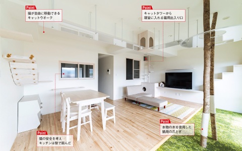 猫と暮らすマンションでは、リビング・ダイニンングの至る所にキャットウオークを作った
