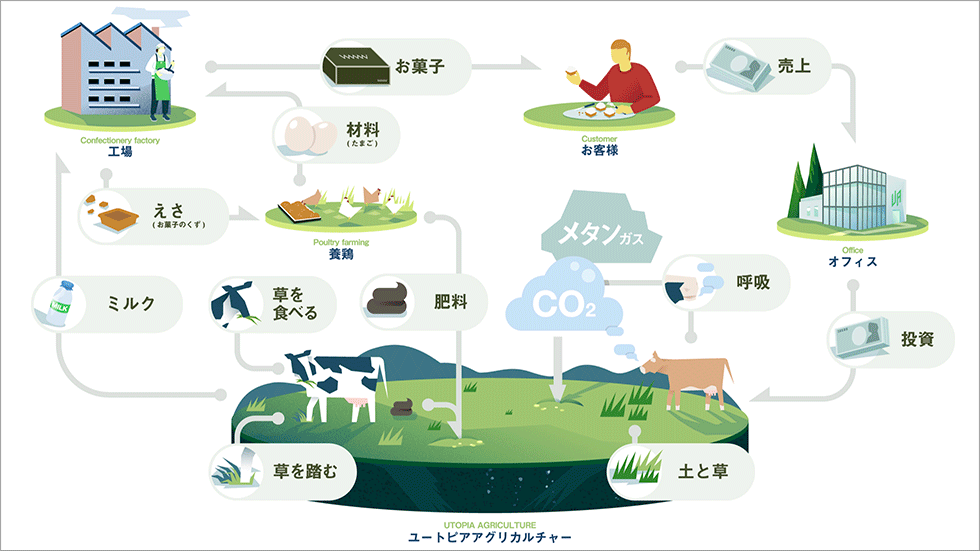 放牧酪農により、牛が排出する二酸化炭素を土壌に吸収・隔離できるという