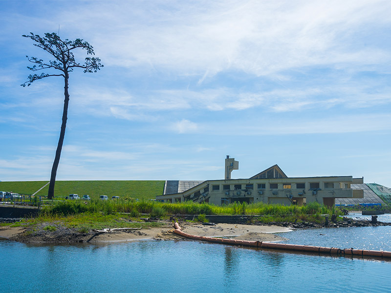 震災10年、有事の好感企業ランキング　1位はソフバン、シャープ