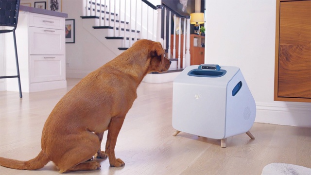 注目ペットテック 元グーグル技術者がaiで飼い犬の訓練を自動化 日経クロストレンド 注目ペットテック 元グーグル技術者がaiで飼い犬の訓練を自動化 日経クロストレンド