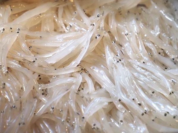 霞ケ浦のシラウオをaiでブランド化 自治体とベンチャーがタッグ 日経クロストレンド 霞ケ浦のシラウオをaiでブランド化 自治体とベンチャーがタッグ 日経クロストレンド