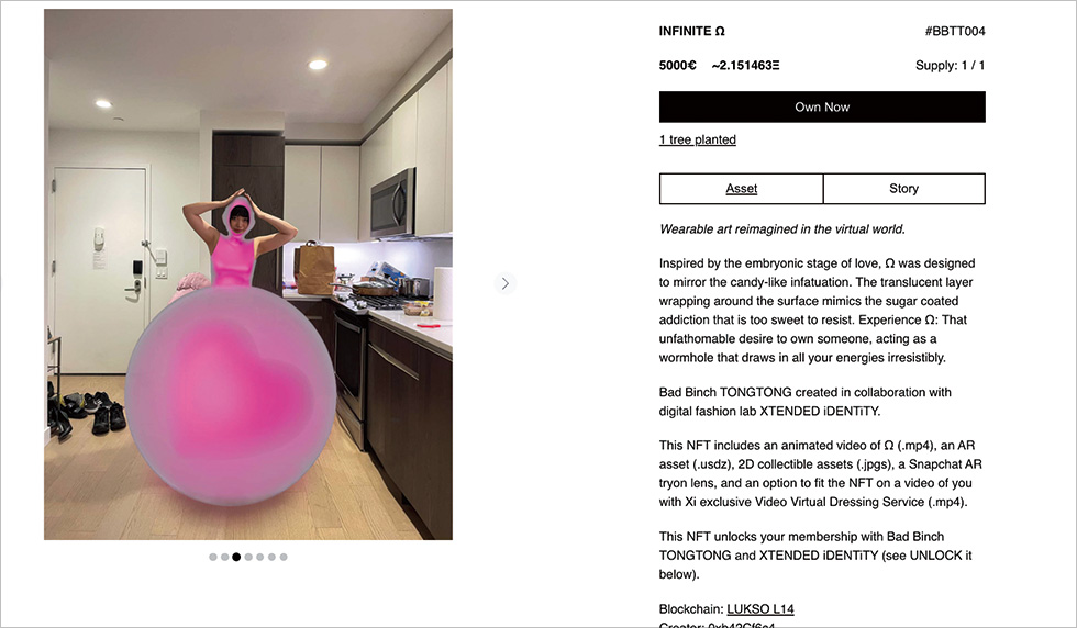 ザ・デマテリアライズドのサイトから