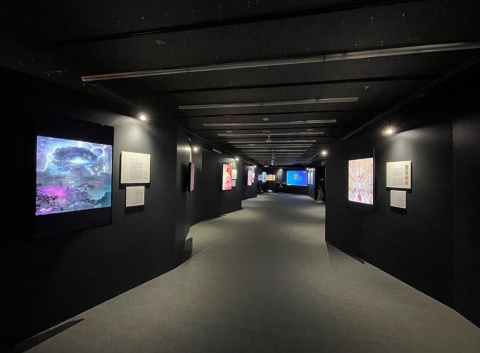 三井不動産は2022年5月27日から6月19日まで、デジタルアートの展示会を開催する
