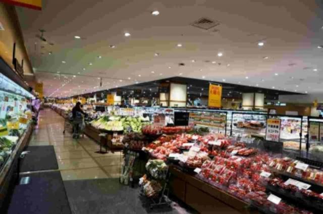 セレブなイオン 大解剖 ダイエー碑文谷店を改装 日経クロストレンド セレブなイオン 大解剖 ダイエー碑文谷店を改装 日経クロストレンド