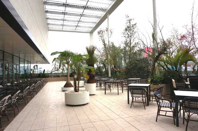 8階屋上には プラントハンター として有 日経クロストレンド 8階屋上には プラントハンター として有 日経クロストレンド