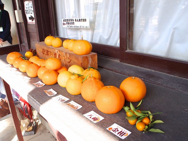 1年を通して柑橘栽培が盛んな地域で 温州 日経クロストレンド