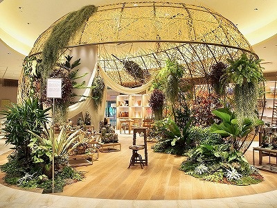 2F「ザ・ルーム」のイベントコーナーでは日本の縁側をテーマに、マレーシアの植物を使ったインスタレーションを展開