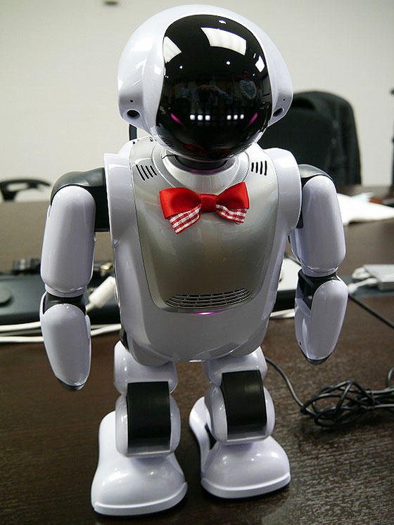 Palmi 富士ソフトのロボットです - その他
