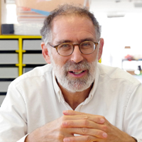 Scratchは創造的に学ぶためのツールだ