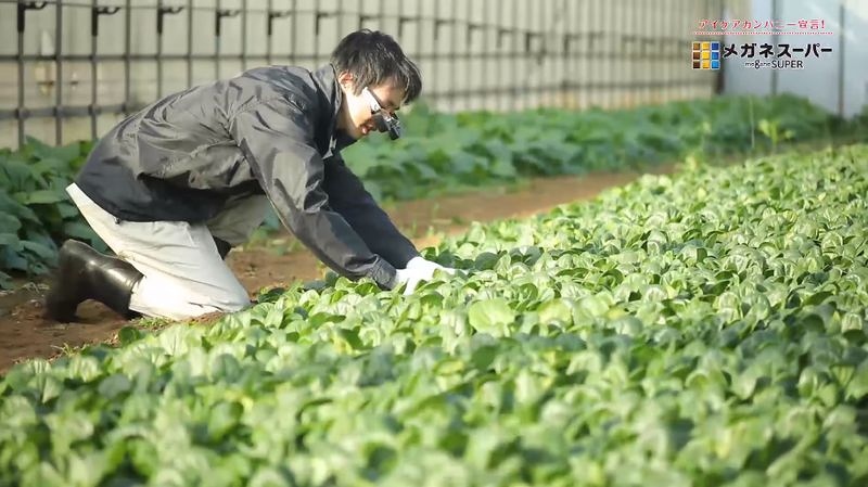 農業などでの利用も想定している（メガネスーパーの動画より）