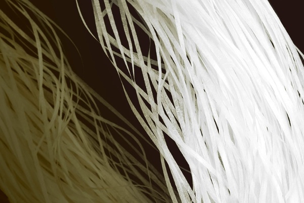 マニラ麻を機械すきの技術で製造した和紙を、2ミリ幅のテープ状に細く裁断したもの（画像提供：細川機業）