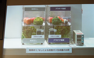7日間保存後の比較。従来の製品に比べて、炭酸ガスの濃度が約1.2倍高まった新製品。ブロッコリーの緑が鮮やかだ