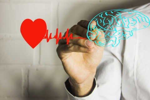 写真/ShutterStock